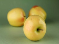 سیب زرد برای اسهال؛ گلاب دماوند گلدن 2 طعم ترش شیرین Apple