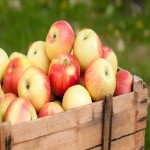 سیب گالا؛ کم کالری ضد التهاب افسردگی حاوی آنتی اکسیدان ویتامین C