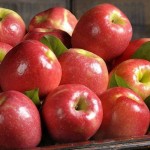 سیب سرخ شیراز؛ نرم شیرین پوست نازک 2 کاربرد (مربا کمپوت) ویتامین A