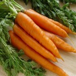 هویج برای لاغری؛ مینیاتور چانتنای نانتس ترد گوشتی آبدار carrot
