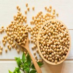 سویا بسته بندی شده؛ پروتئینی خوراکی مناسب پخت پز آشپزی soybeans
