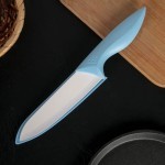 چاقو آشپزخانه تکی؛ رنگ بندی سایزبندی کامل 2 نوع ساطوری دنده ای سبک