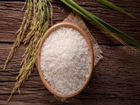 برنج ایرانی طارم هاشمی؛ معطر پخت آسان سفید بهداشتی rice