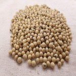 سویا دامی؛ صنعتی اسید آمینه تخم گذاری حیوانات Soybean
