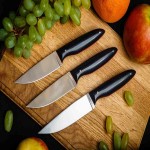 چاقو برگ زنی (دشنه) نازک استیل ضد زنگ درجه یک Knife