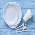 ظروف یکبار مصرف پلاستیکی؛ پلیمری مقاوم مناسب خوراکی سرد گرم plastic