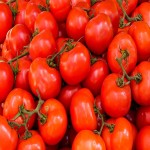گوجه فرنگی ضد سرطان؛ گوشتی آبدار درمان پروستات Tomato