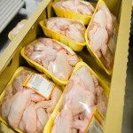 گوشت مرغ بسته بندی؛ گرم منجمد ظروف پلاستیکی (وکیوم) حاوی Protein