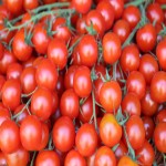 گوجه فرنگی برنتا؛ سفید نارنجی قرمز حاوی منگنز ویتامین (C B D)