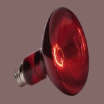لامپ دو کنتاکت قرمز؛ حبابی رشته ای (12 14) ولت مقاوم Lamp