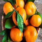 نارنگی ژاپنی ساری؛ پچ یافا کینو حاوی آنتی اکسیدان ویتامین Sari