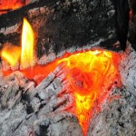 زغال چینی در تهران؛ خاک اره سفره خانه ای بسته بندی (6 8) کیلویی