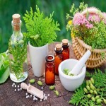 گیاهان دارویی ضد افسردگی و اضطراب؛ گل چای (عطری ادویه ای طبی) جنسینگ Plant