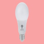 لامپ ال ای دی 10 وات پارس؛ فاقد مواد سمی 85 درصد صرفه جویی