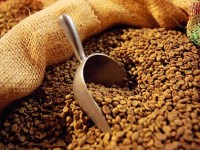 قهوه فوری کیسه ای؛ کافئین دار پودری گرانول خشک ضد سرطان Antioxidants