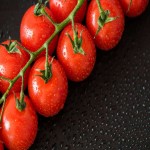 گوجه فرنگی امروز مشهد؛ گیلاسی کلاسیک زیتونی (بسته بندی کیلویی) ارگانیک