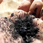 زغال خودسوز قلیون؛ جنس الوار خاک اره 2 مدل دایره مکعب