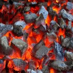 زغال رکورد اصل؛ فشرده 4 ماده چوب پوست بادام گردو