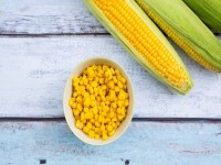 کنسرو ذرت برای چاقی؛ فیبر پروتئین کربوهیدرات طبع سرد خشک Corn