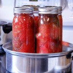 رب گوجه فرنگی آذرچین؛ صنعتی تقویت سیستم ایمنی 2 نوع شیشه ای حلبی