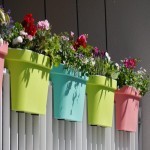 گلدان پلاستیکی برای گلخانه؛ سبک نشکن نرخ پایین Plastic
