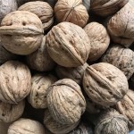 گردو سبز در تویسرکان؛ پوسته نرم بسته بندی 100 گرمی walnuts