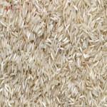 برنج دانه بلند؛ پاکستانی 2 رنگ سفید قهوه ای ضد سرطان