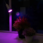 لامپ فلورسنت برای گیاهان؛ تنظیم ولتاژ رویش بهتر کم مصرف Lamp