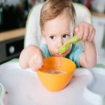 ظرف غذای کودک؛ درب دار رنگبندی متنوع سبک بادوام dish