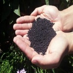 کود شیمیایی سیاه رنگ؛ ذرات کوچک اکسیژنی هیدروژنی مناسب زمین کشاورزی Black