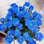 گل رز آبی مصنوعی؛ مخمل دکور (تکی چندتایی) منزل چسب با کیفیت Iran