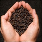 فلفل سیاه گلستان؛ آنتی اکسیدان قوی کاهش کلسترول (70 80 90) گرمی