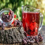 چای باروتی دبش؛ معطر طعم دلپذیر خوشرنگ کاهش وزن ant head
