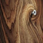 چوب نراد روس؛ درخت کاج تخت میز مطالعه تراکم بالا (20 70) میلیمتر