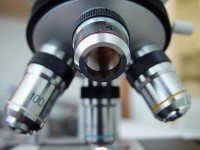 میکروسکوپ نوری زمینه روشن؛ آزمایشگاه مشاهده سلول زنده عدسی چشمی Lens