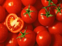 گوجه فرنگی در ایران؛ فاقد مواد شیمیایی بسته بندی املاح معدنی Iran