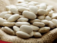 لوبیا سفید آبگوشتی؛ مواد معدنی ارگانیک تقویت روده ضد سرطان Protein