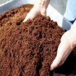 کود کمپوست ورمی؛ جلوگیری سرمازدگی مناسب رشد گیاهان Compost