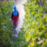 کود مایع مرغی نوبل؛ ارگانیک مزارع گلخانه فتوسنتز بهتر گیاهان Nitrogen