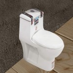 توالت فرنگی آوینا؛ زمینی دوتیکه دیواری دایره ای 2 رنگ سفید سیاه
