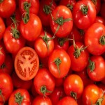 گوجه فرنگی در میدان تره بار مشهد؛ ارگانیک بهداشتی چاشنی تقویت تنفس tomato