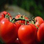 گوجه فرنگی در میدان بار مشهد؛ حاوی آنتی اکسیدان پتاسیم phosphorus