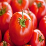 گوجه فرنگی صادراتی؛ بافت سفت 2 نوع معمولی گلخانه ای Tomato