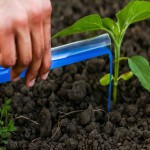کود ارگانیک فسفر بالا؛ پودری حیوانی گیاهی بهبود رشد گیاه (52 20) درصد