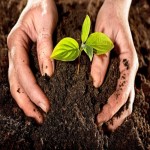 کود رشد ارگانیک؛ بهبود پرورش گیاهان درختان 2 نوع (پودر مایع)