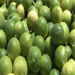 قیمت لیمو ترش اسرائیلی از تولید به مصرف