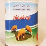 خرید پنیر تبریز خیراله شاهی با قیمت استثنایی