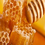 خرید و قیمت انواع عسل طبیعی در ترکیه