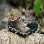 بهترین قیمت خرید کفش کوهنوردی ربوآر