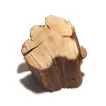 خرید و قیمت روز چوب درخت بادام